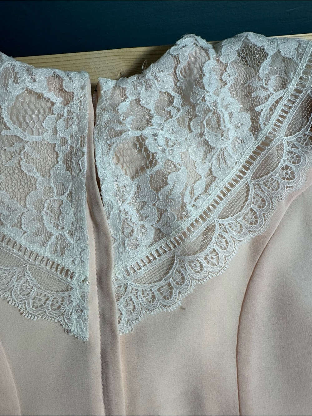 JESSICA MCCLINTOCK Delicate Blush Lace Collar Dress - Picture 10 of 10